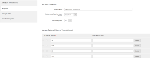 Attributo e Attribute Option in Magento 2